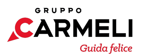 GruppocarmeliNuovo.com